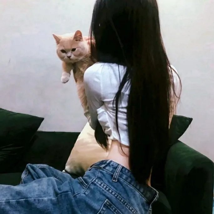碰之道 在线观看